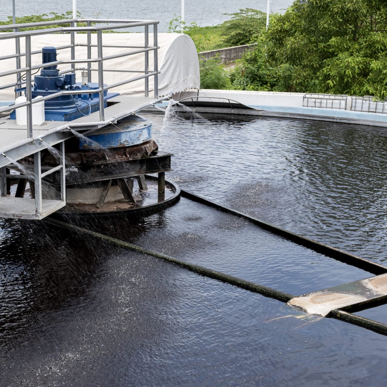 Waste water treatment ponds from industrial plants