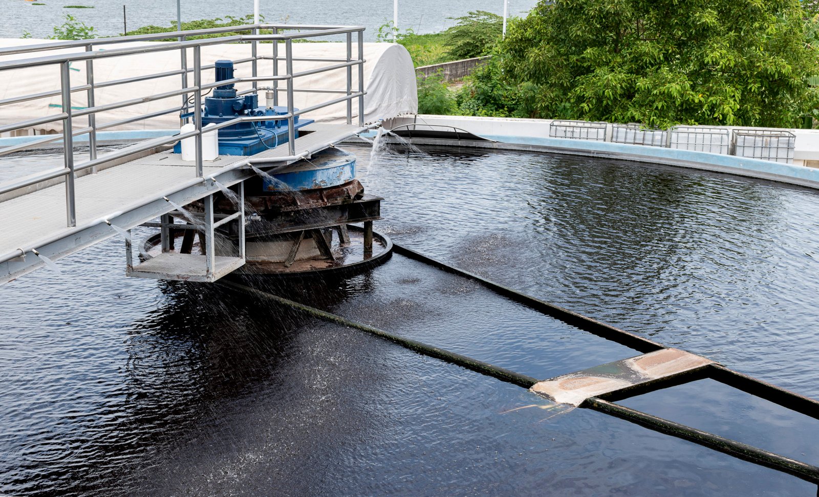 Waste water treatment ponds from industrial plants